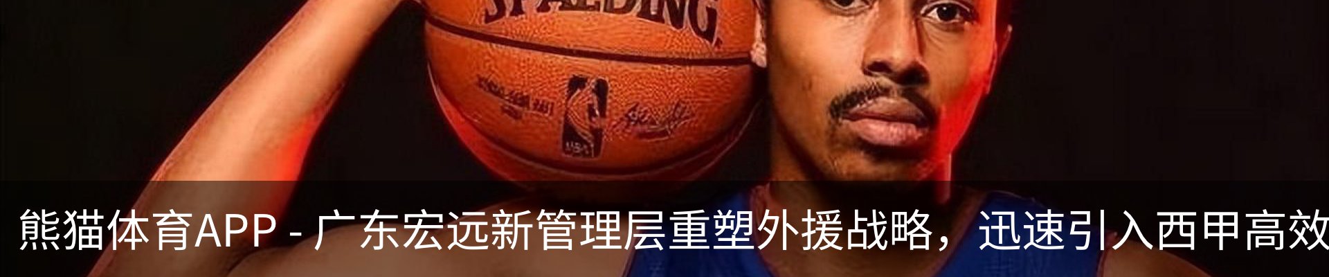 新闻动态