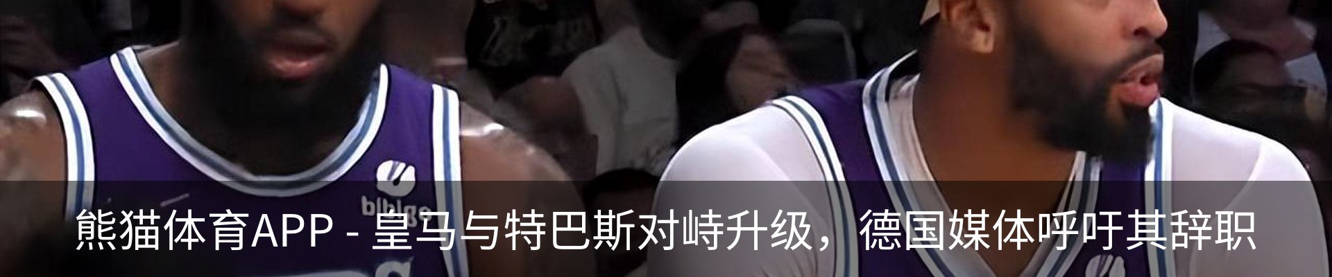 新闻动态