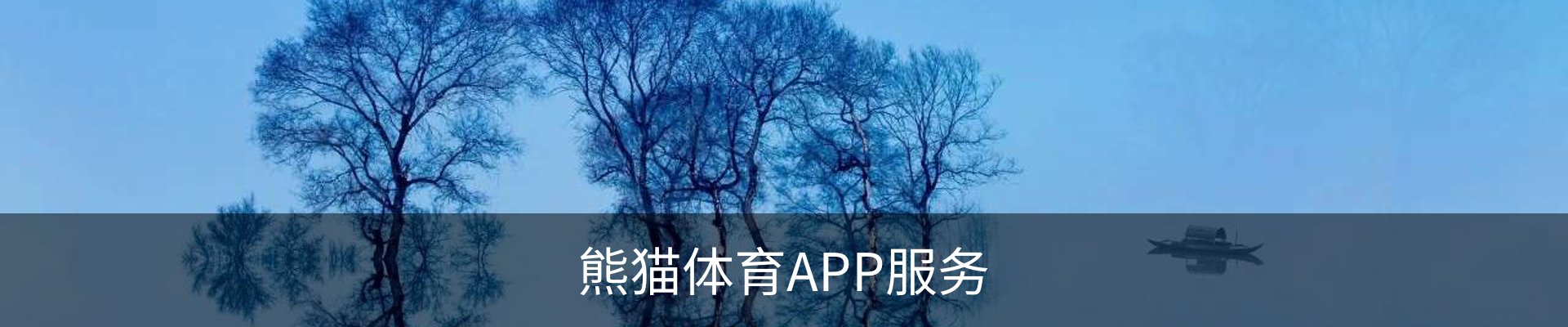 熊猫体育APP服务